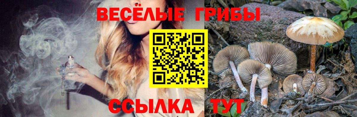 Псилоцибиновые грибы MAGIC MUSHROOMS  Псилоцибиновые грибы ЛСД  Вход с VPN  Чернушка 